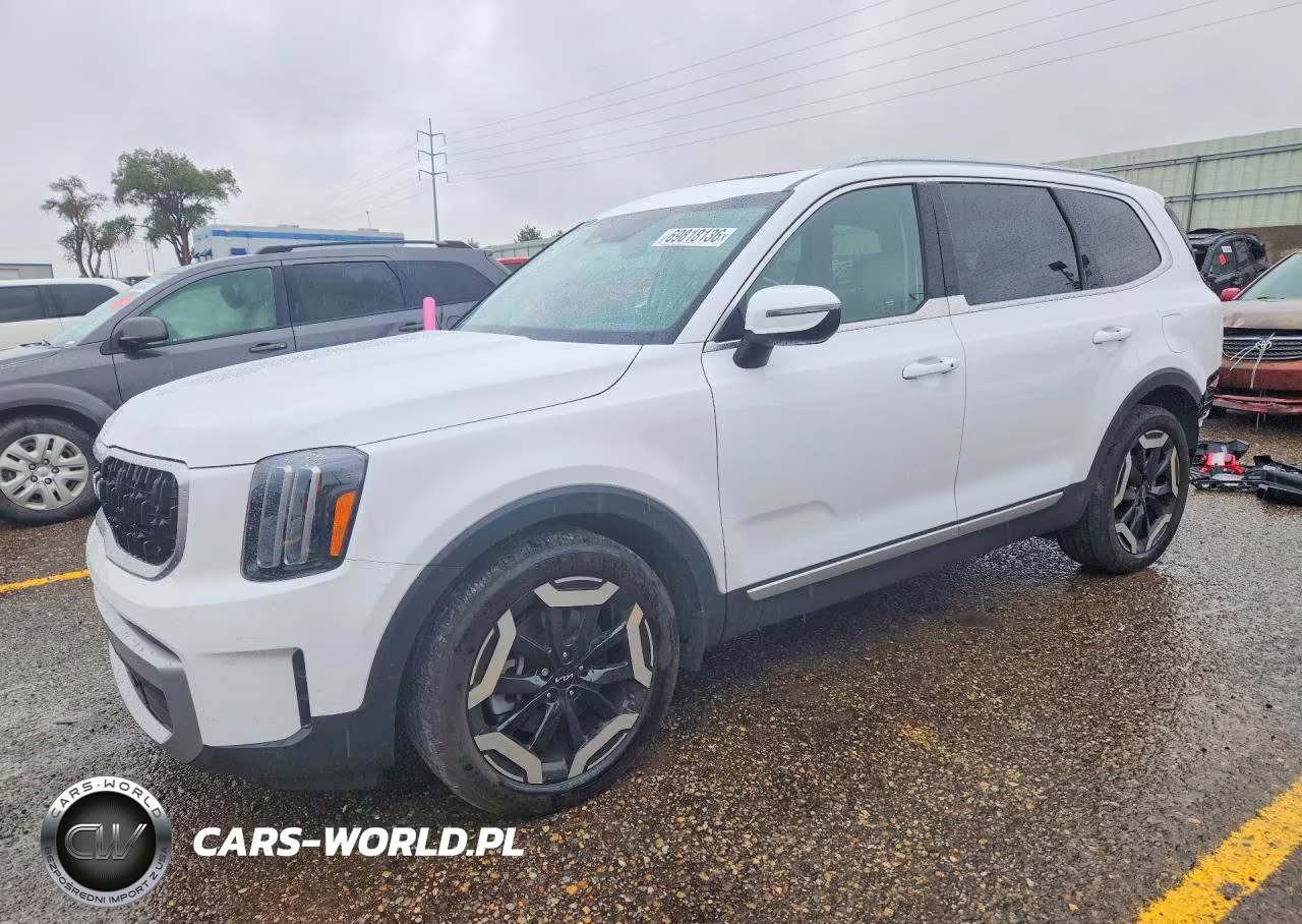 2024 Kia Telluride Ex VIN:5XYP3DGC6RG411505 - 1