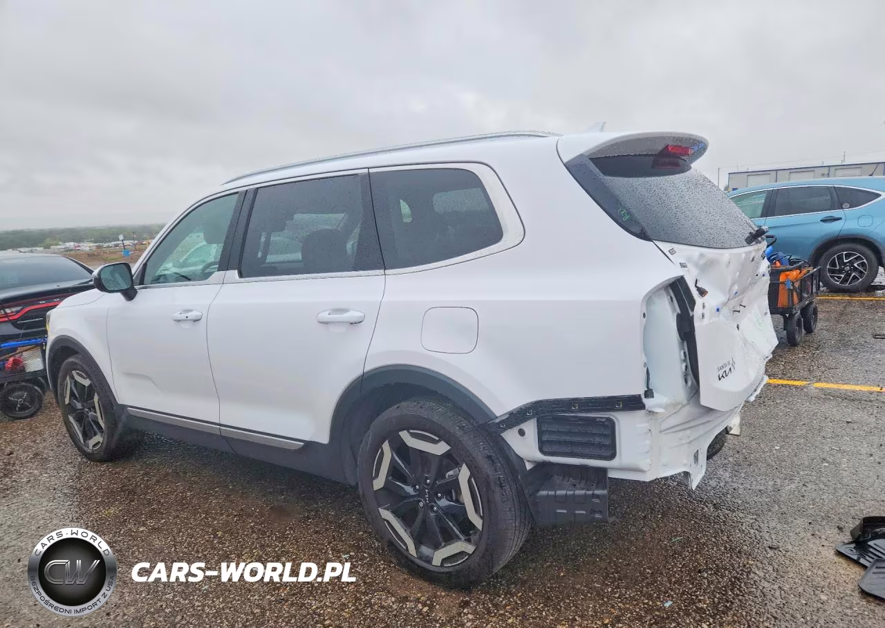 2024 Kia Telluride Ex VIN:5XYP3DGC6RG411505 - 2