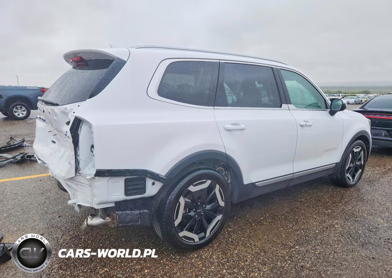 2024 Kia Telluride Ex VIN:5XYP3DGC6RG411505 - 3