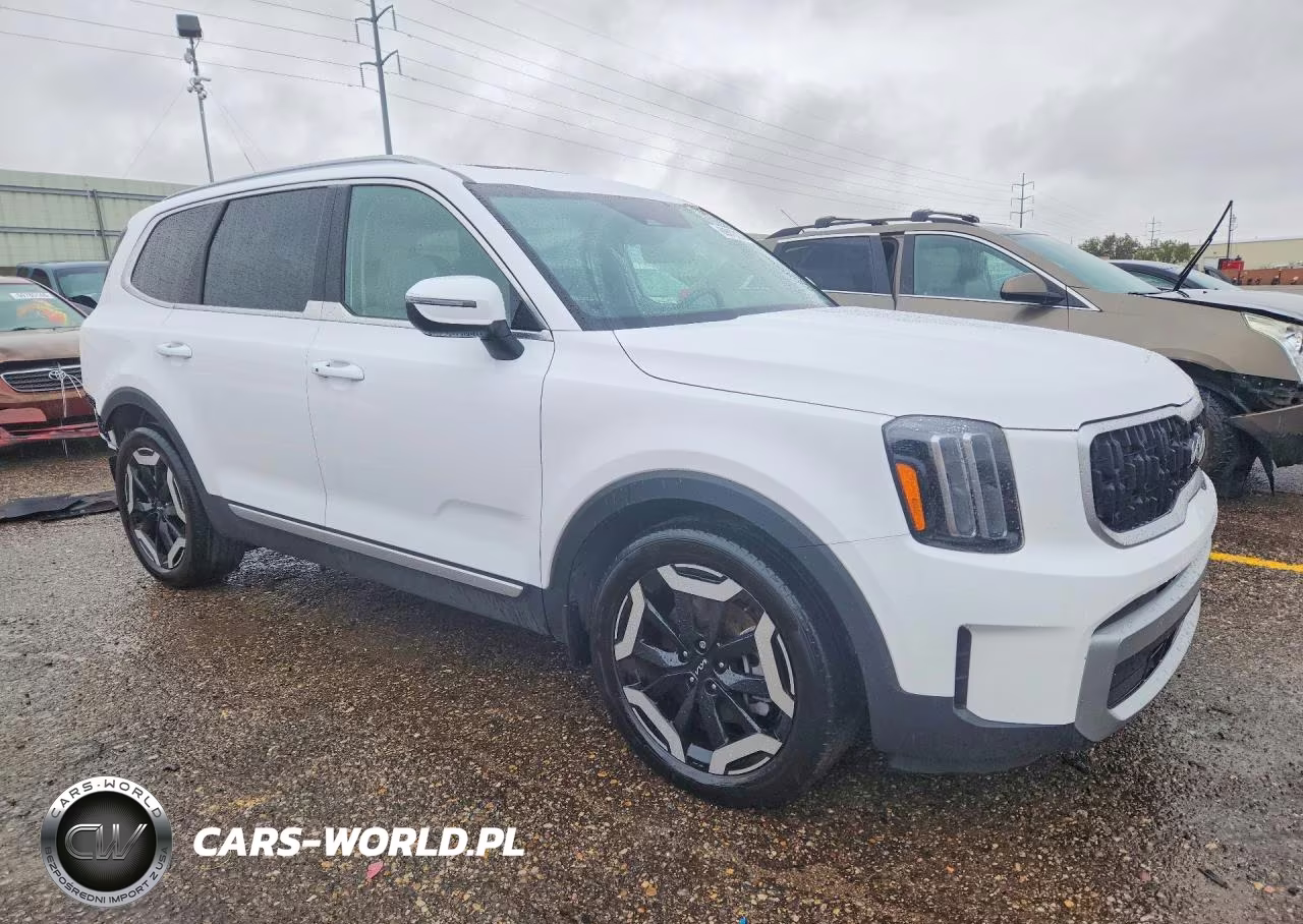 2024 Kia Telluride Ex VIN:5XYP3DGC6RG411505 - 4