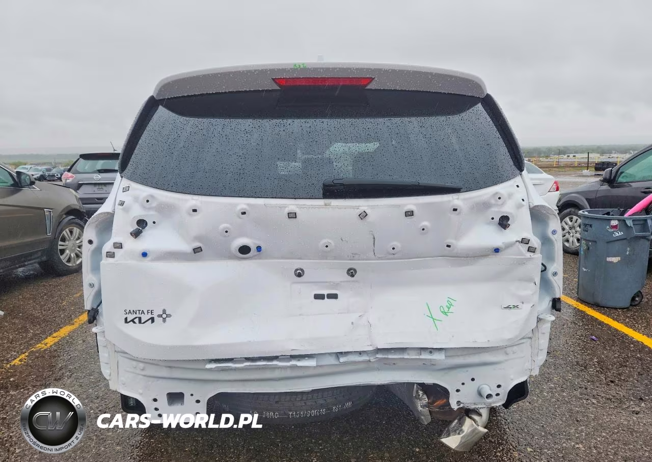 2024 Kia Telluride Ex VIN:5XYP3DGC6RG411505 - 6