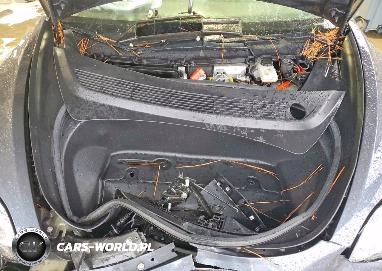 2020 Tesla Model 3 VIN:5YJ3E1EB4LF635629 - 11