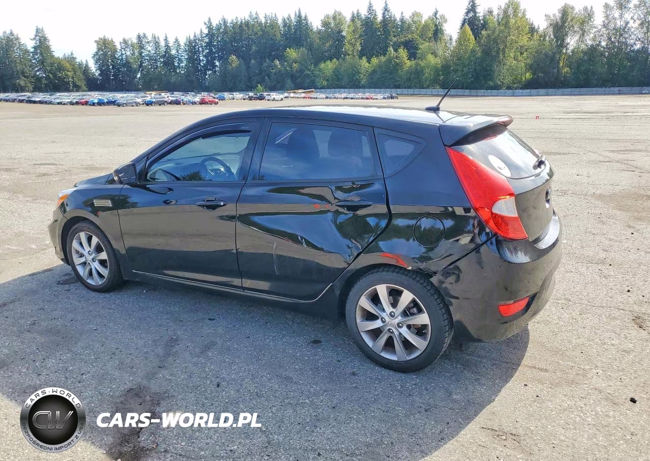 2014 Hyundai Accent Se VIN:KMHCU5AE1EU160067 - 2