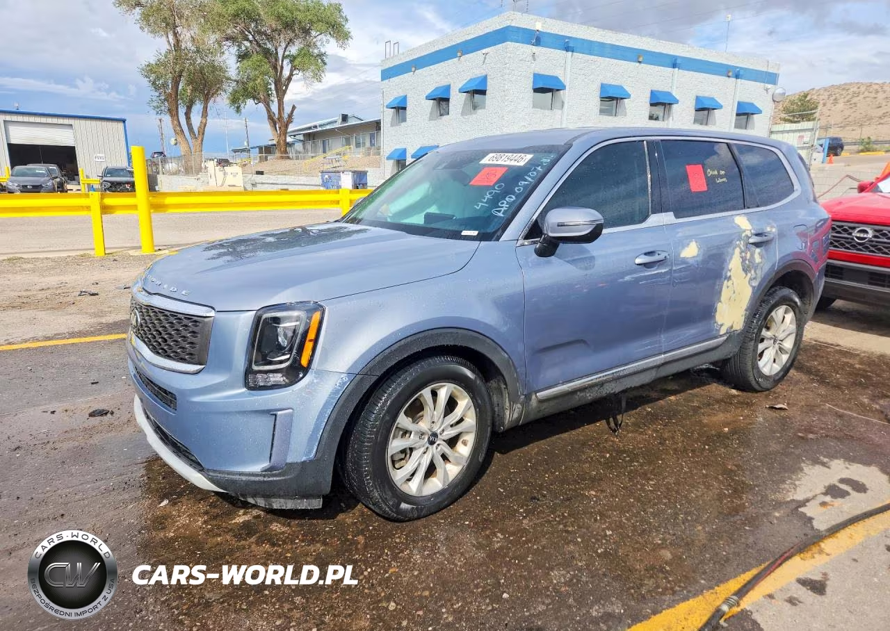 2020 Kia Telluride Lx VIN:5XYP24HC1LG044490 - 1