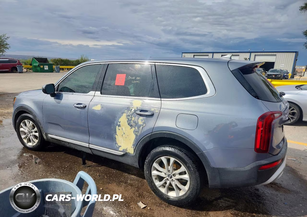 2020 Kia Telluride Lx VIN:5XYP24HC1LG044490 - 2