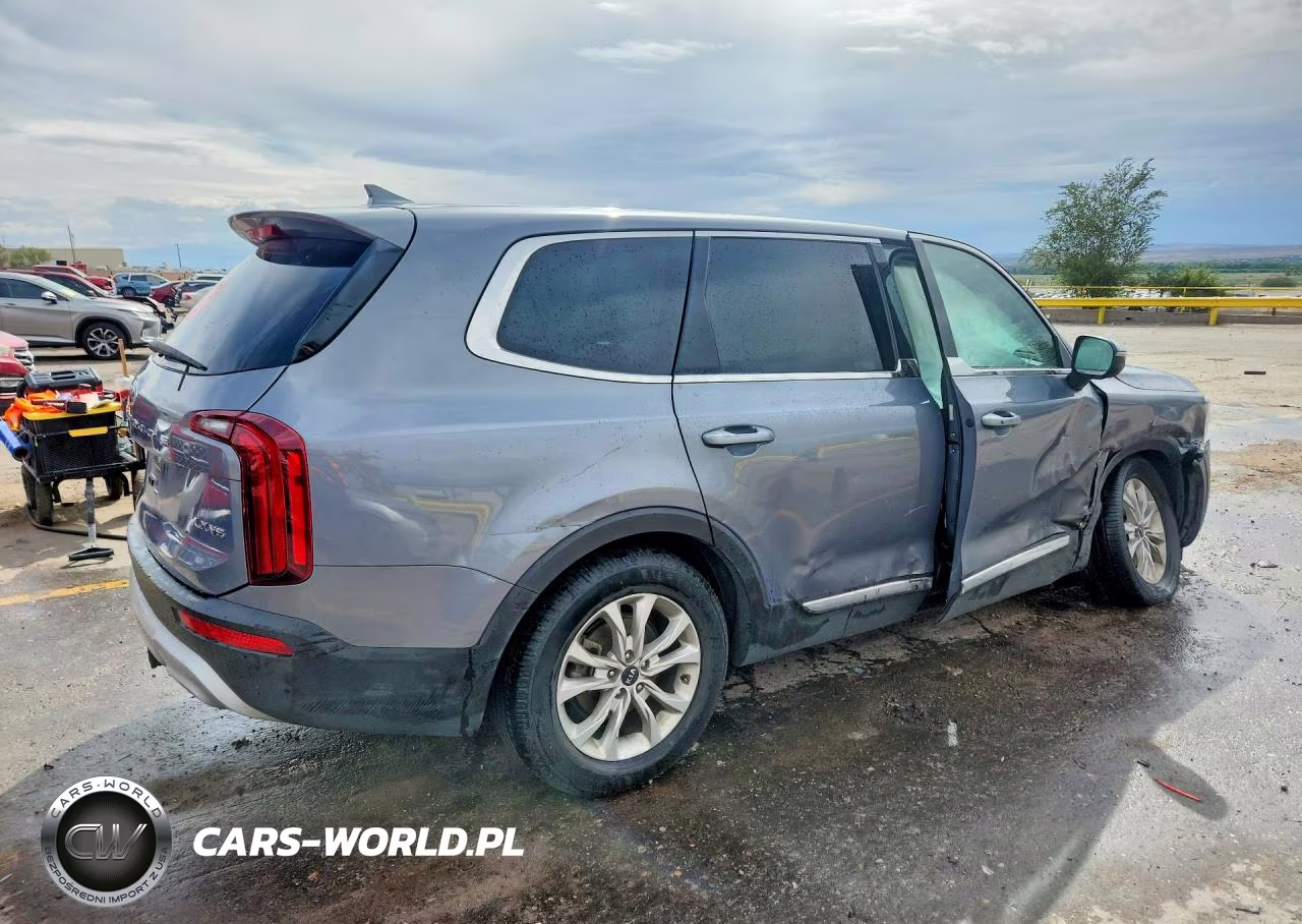 2020 Kia Telluride Lx VIN:5XYP24HC1LG044490 - 3