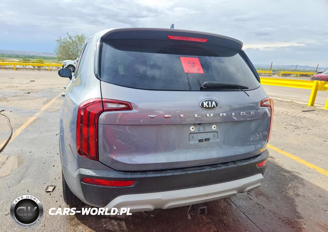 2020 Kia Telluride Lx VIN:5XYP24HC1LG044490 - 6