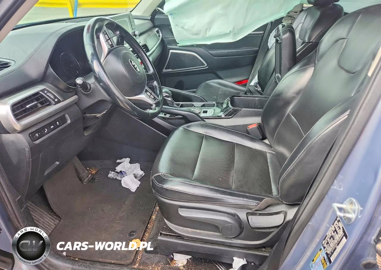 2020 Kia Telluride Lx VIN:5XYP24HC1LG044490 - 7