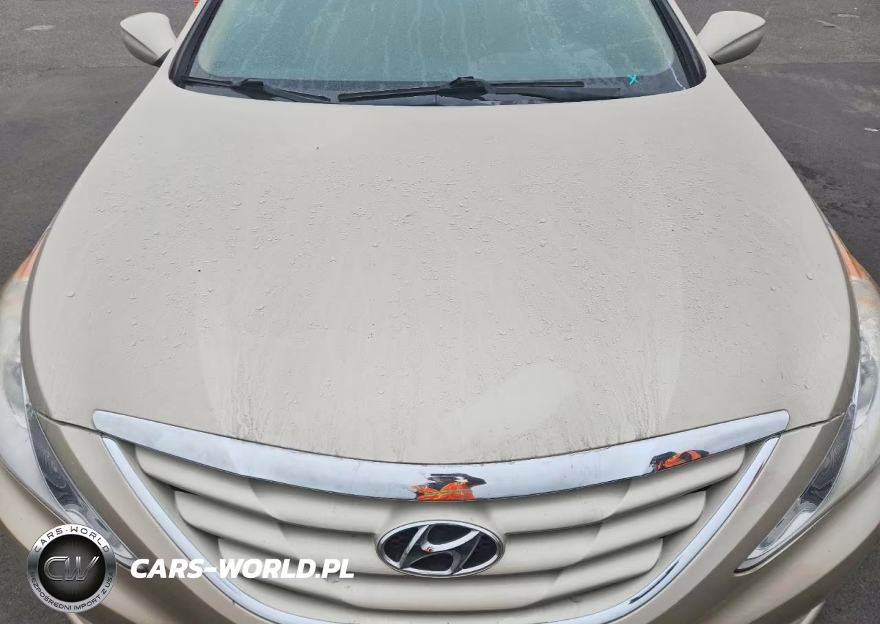 2011 Hyundai Sonata Gls VIN:5NPEB4AC5BH042881 - 11