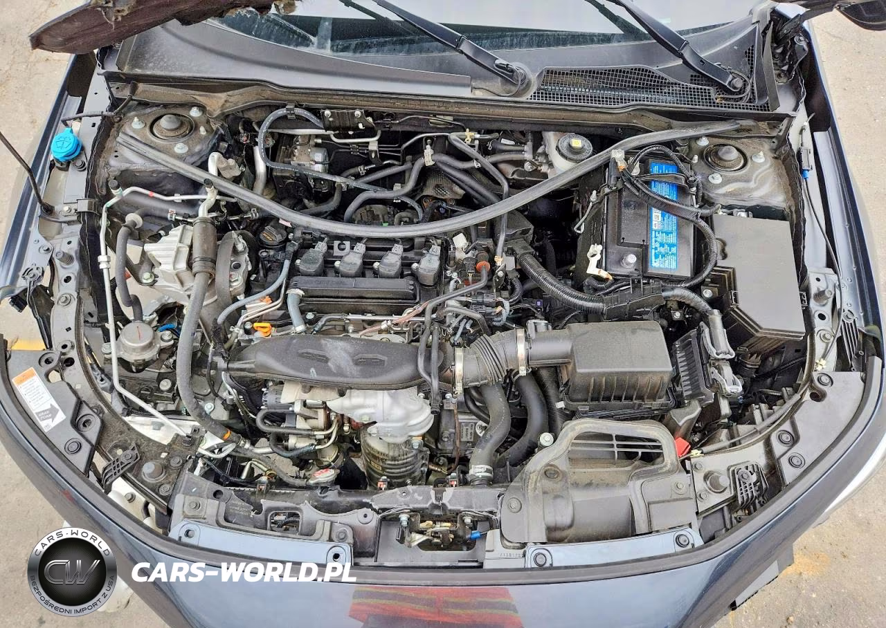 2024 Honda Civic Exl VIN:19XFL1H75RE000346 - 11