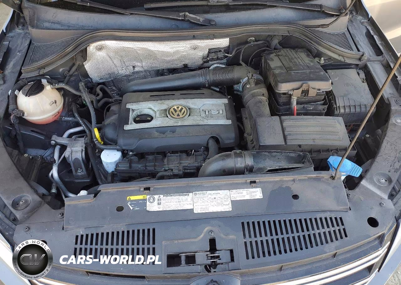 2016 Volkswagen Tiguan S VIN:WVGAV7AX7GW051072 - 12