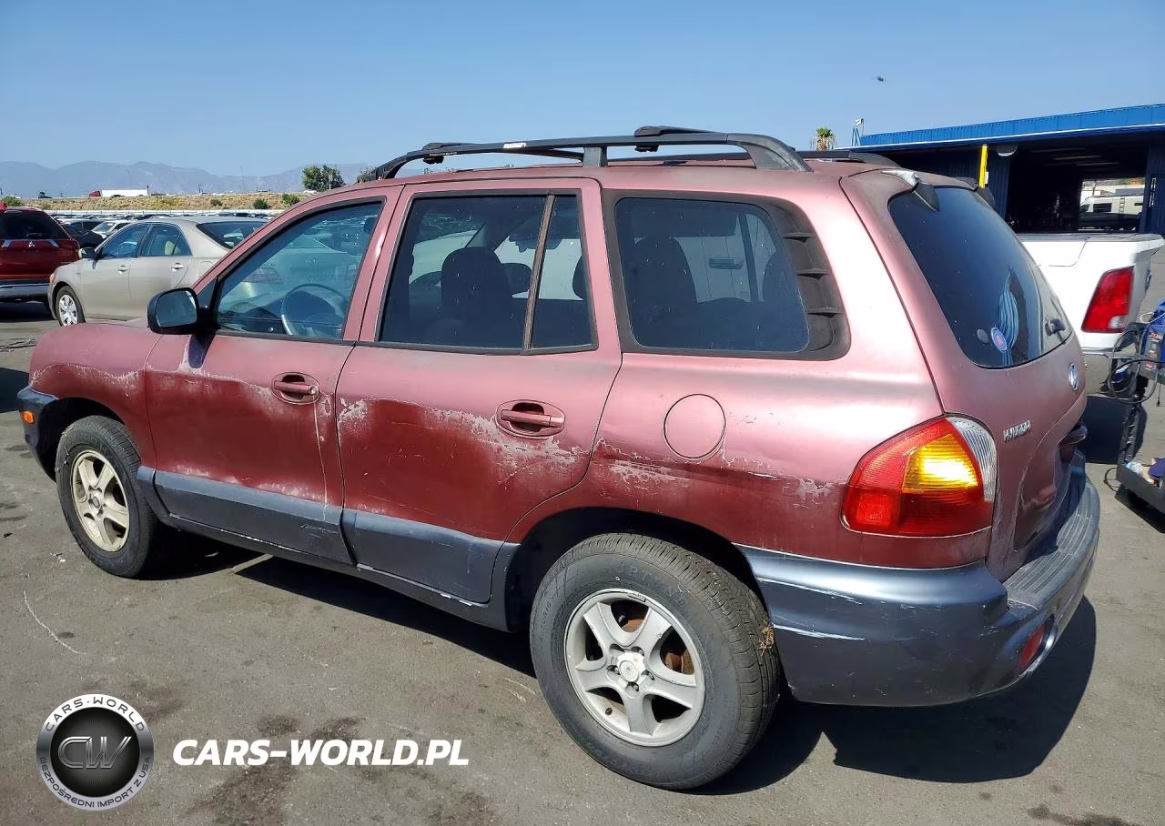 2004 Hyundai Santa Fe Base VIN:KM8SB12B24U653186 - 2