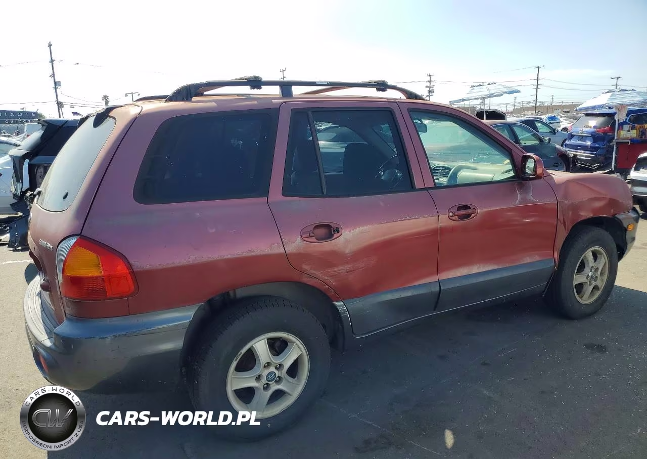 2004 Hyundai Santa Fe Base VIN:KM8SB12B24U653186 - 3