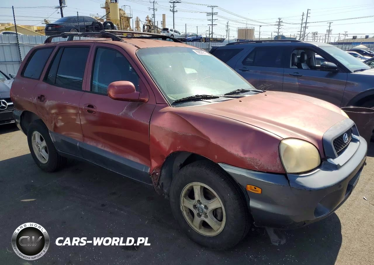 2004 Hyundai Santa Fe Base VIN:KM8SB12B24U653186 - 4