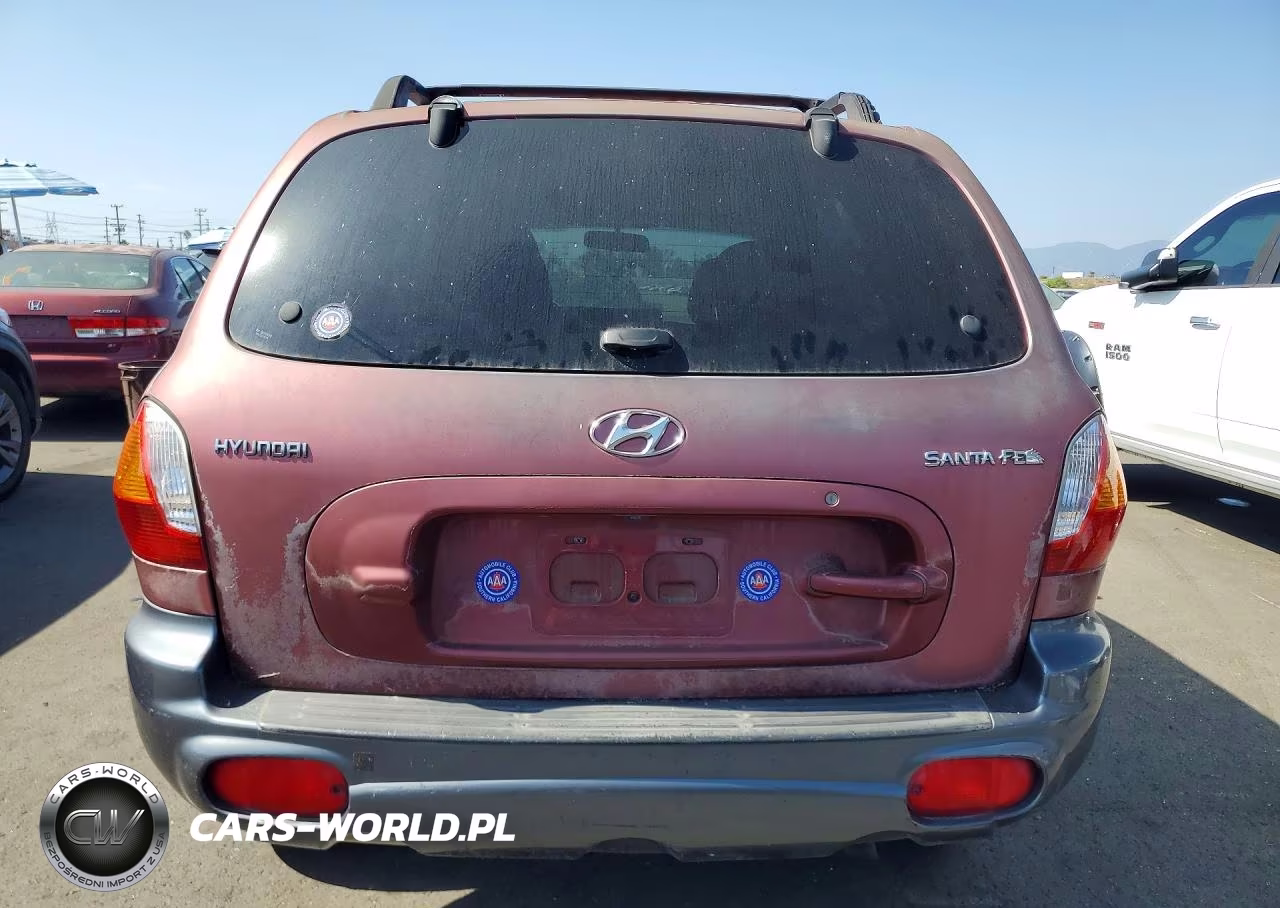 2004 Hyundai Santa Fe Base VIN:KM8SB12B24U653186 - 6