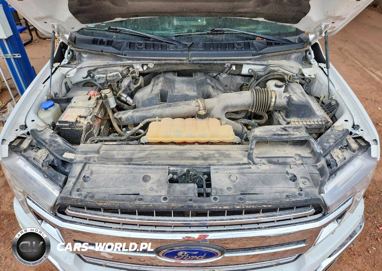 2019 Ford F150 Supercrew VIN:1FTEW1E40KKC14631 - 11