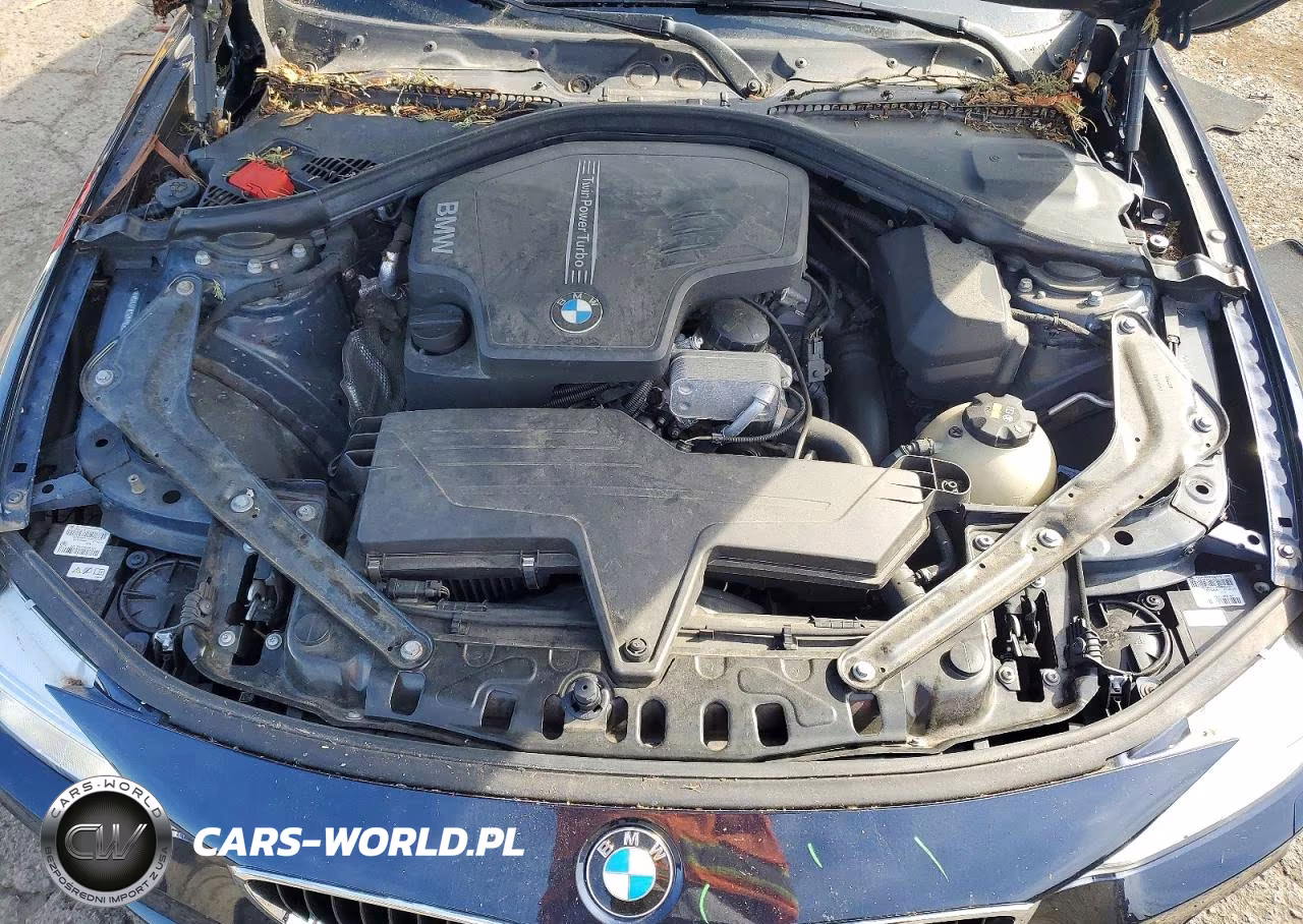 2015 BMW 428 Xi Sulev VIN:WBA3T1C52FP820899 - 11