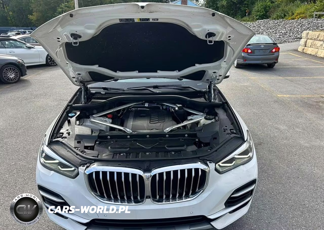 2023 BMW X5 xDrive40I VIN:5UXCR6C01P9R97225 - 7