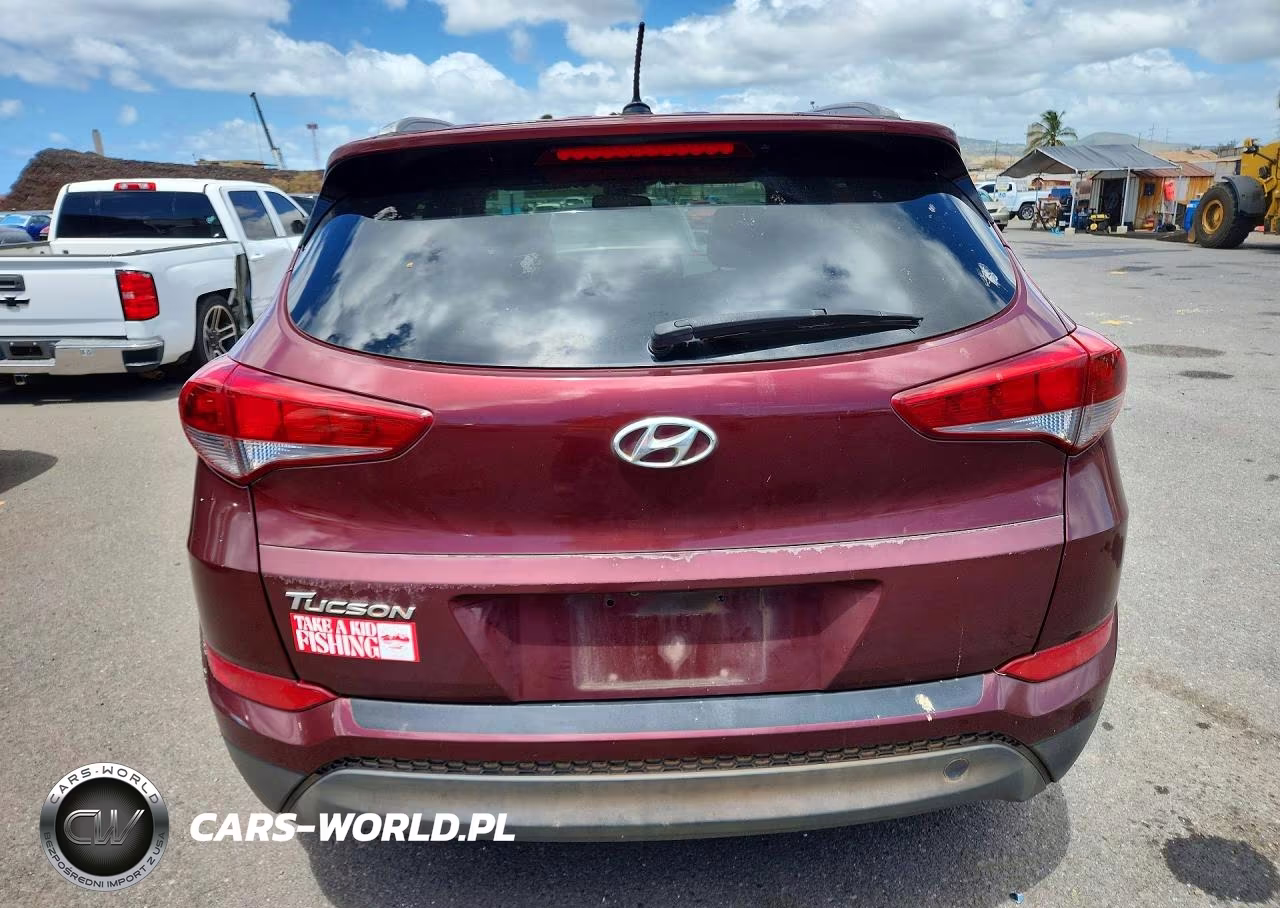 2016 Hyundai Tucson Se VIN:KM8J33A45GU223583 - 6