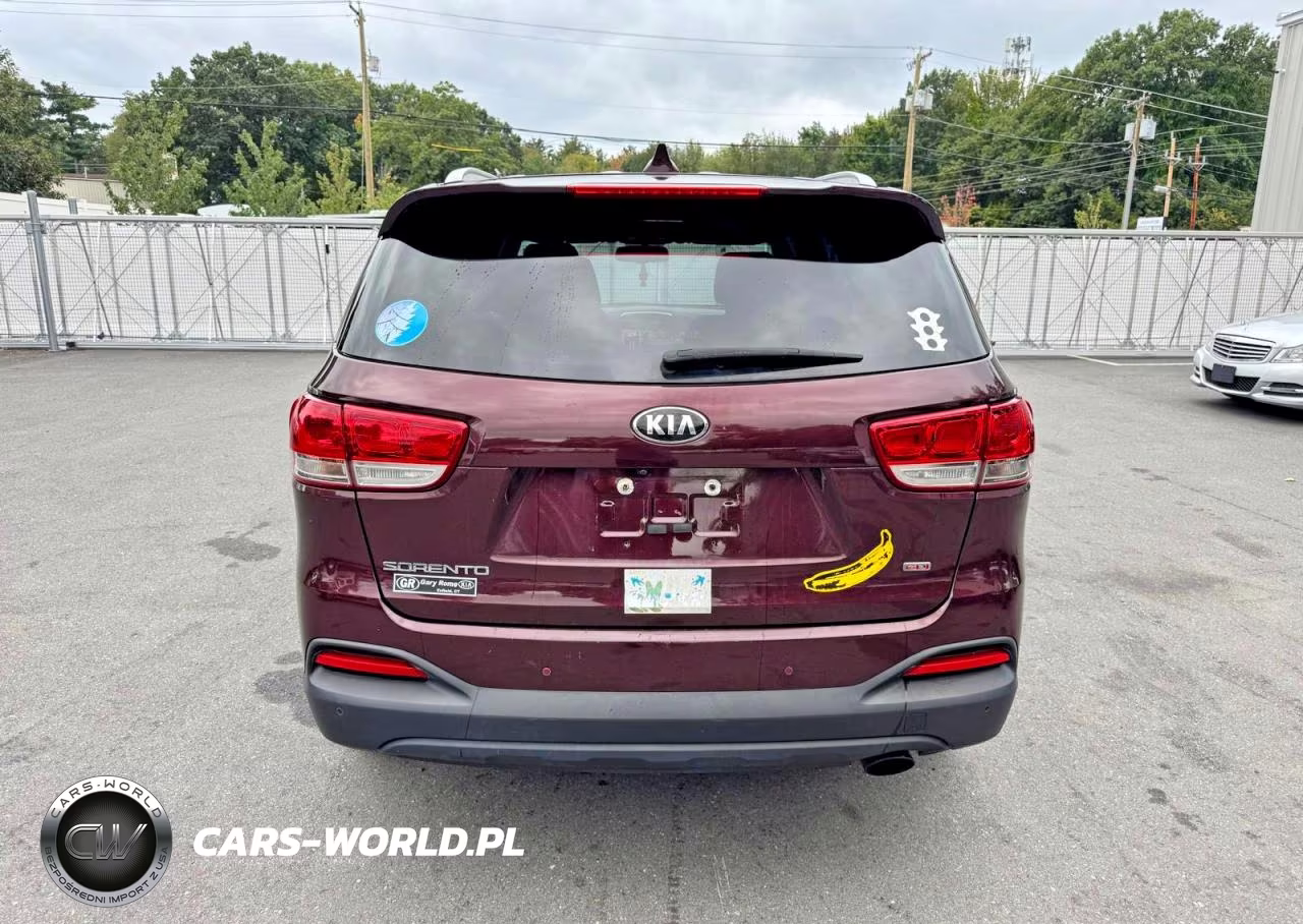 2017 Kia Sorento Lx VIN:5XYPGDA30HG237538 - 12