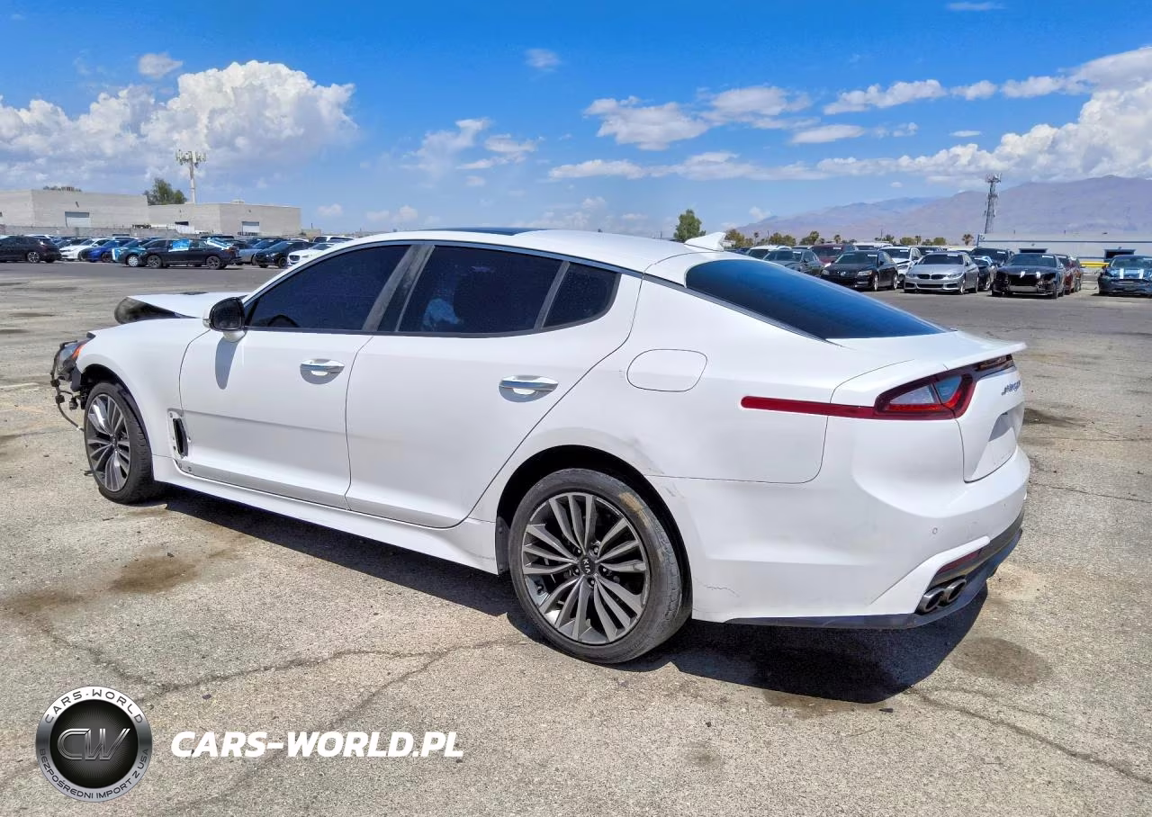 2019 Kia Stinger Premium VIN:KNAE25LA2K6059260 - 2