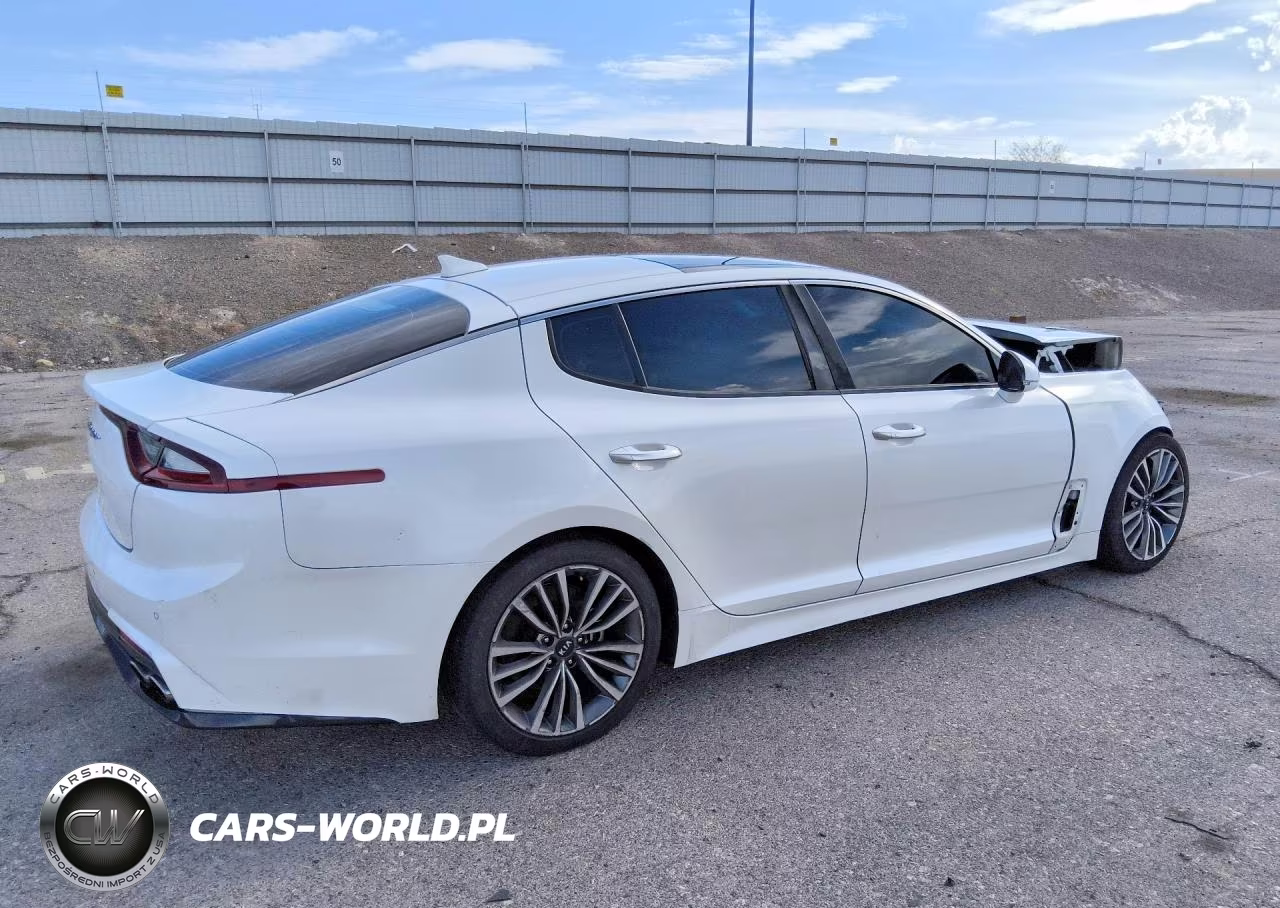 2019 Kia Stinger Premium VIN:KNAE25LA2K6059260 - 3