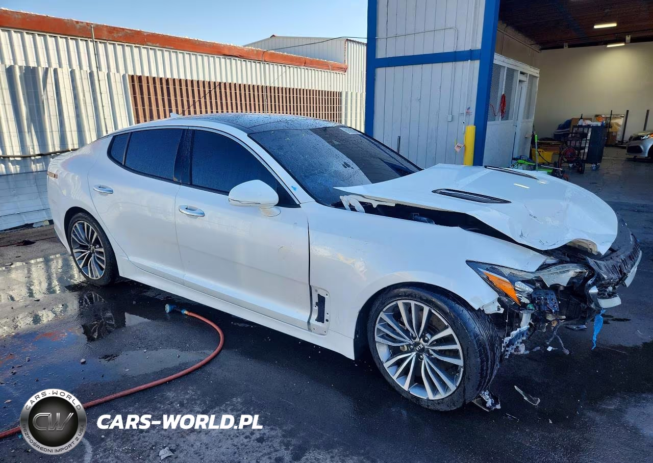 2019 Kia Stinger Premium VIN:KNAE25LA2K6059260 - 4
