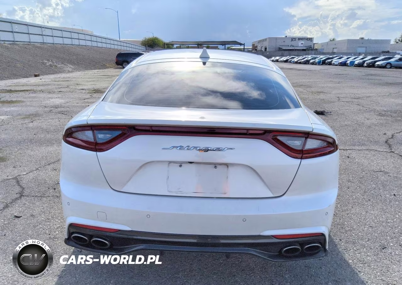2019 Kia Stinger Premium VIN:KNAE25LA2K6059260 - 6