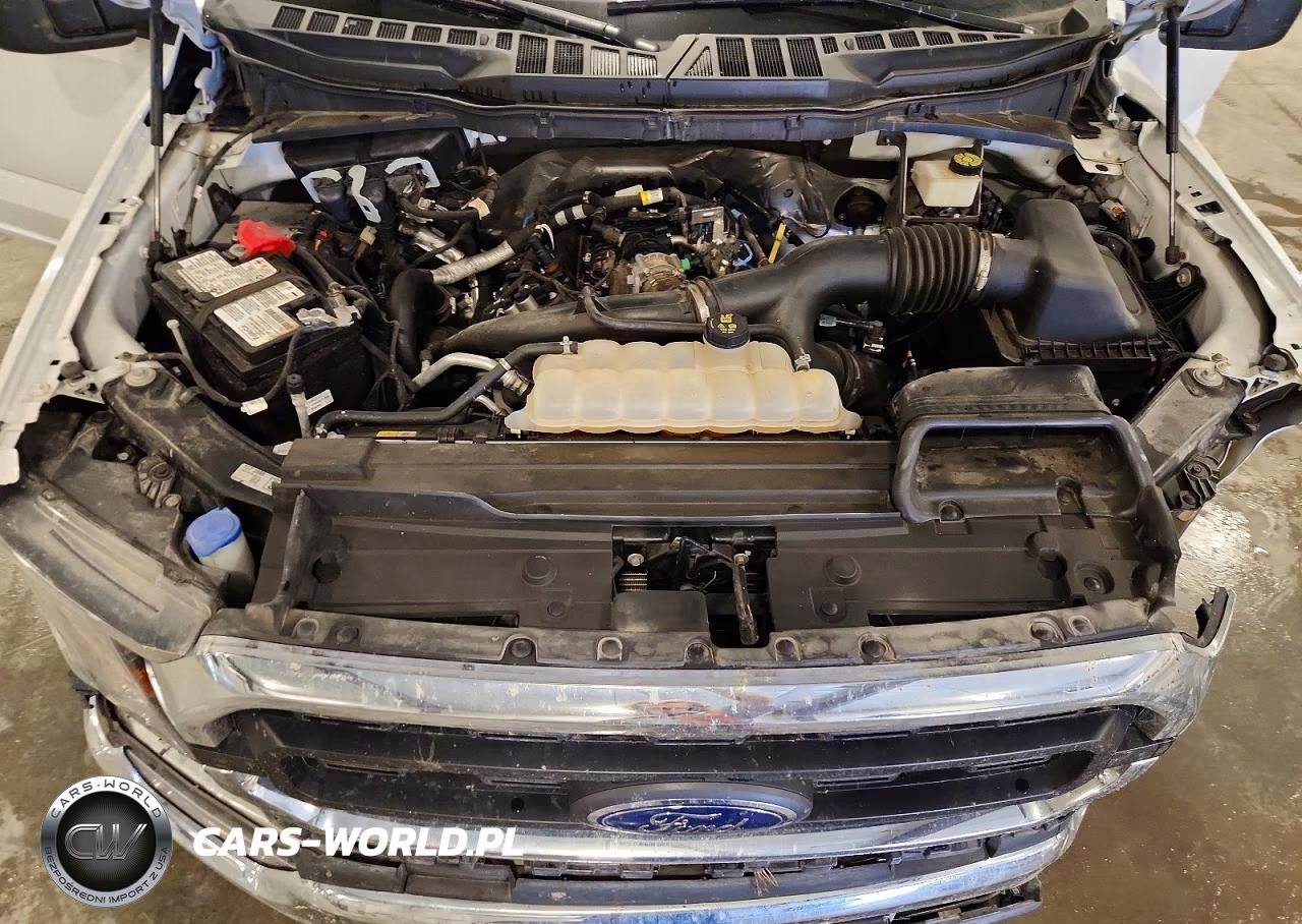 2023 Ford F150 Supercrew VIN:1FTEW1EPXPKF45704 - 11
