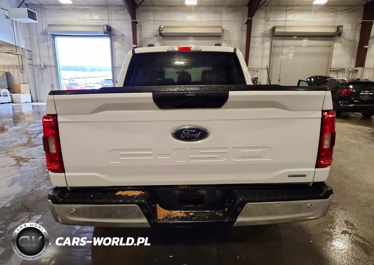 2023 Ford F150 Supercrew VIN:1FTEW1EPXPKF45704 - 6