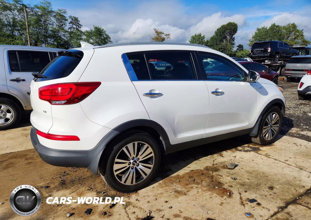 2014 Kia Sportage Ex VIN:KNDPCCAC3E7640010 - 3