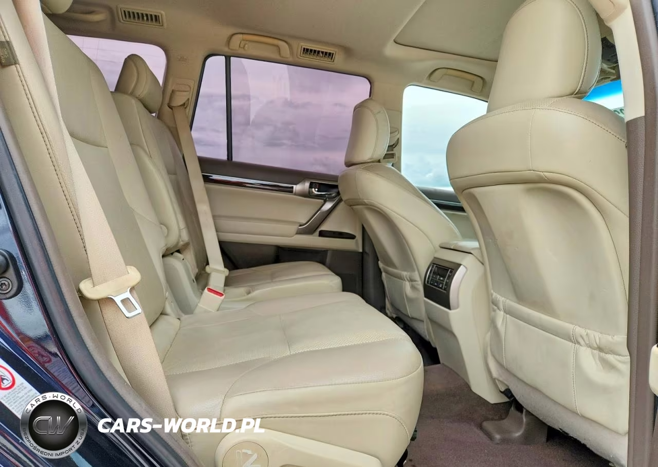 2017 Lexus Gx 460 VIN:JTJBM7FX6H5153925 - 11