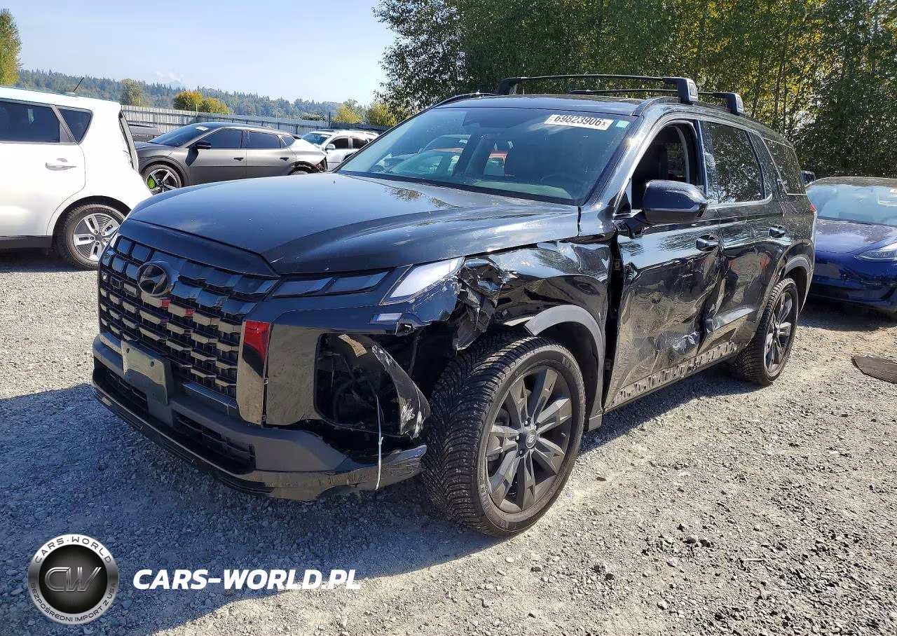 2023 Hyundai Palisade Xrt VIN:KM8R3DGE6PU538787 - 1