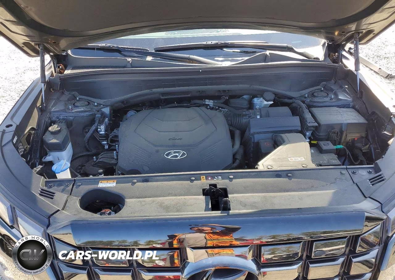 2023 Hyundai Palisade Xrt VIN:KM8R3DGE6PU538787 - 12