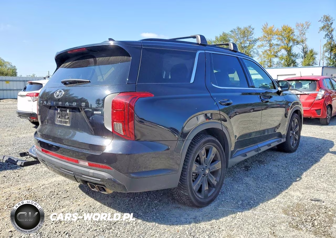2023 Hyundai Palisade Xrt VIN:KM8R3DGE6PU538787 - 3