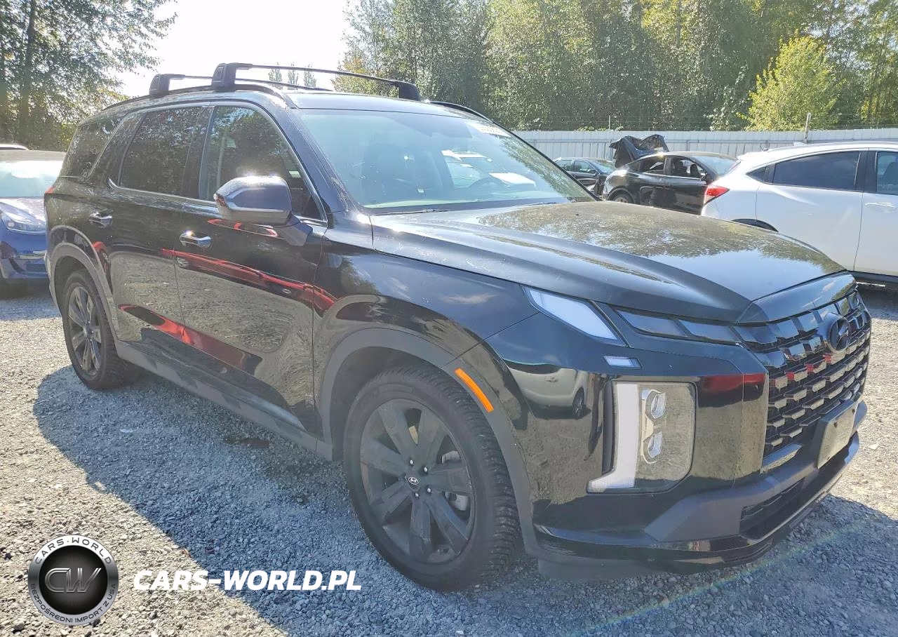 2023 Hyundai Palisade Xrt VIN:KM8R3DGE6PU538787 - 4