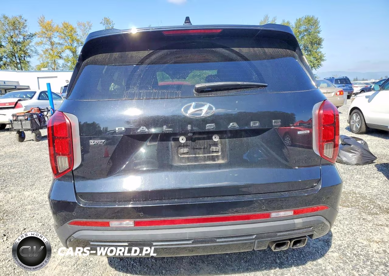 2023 Hyundai Palisade Xrt VIN:KM8R3DGE6PU538787 - 6