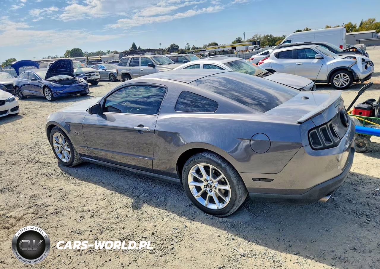 2010 Ford Mustang Gt VIN:1ZVBP8CH0A5111542 - 2