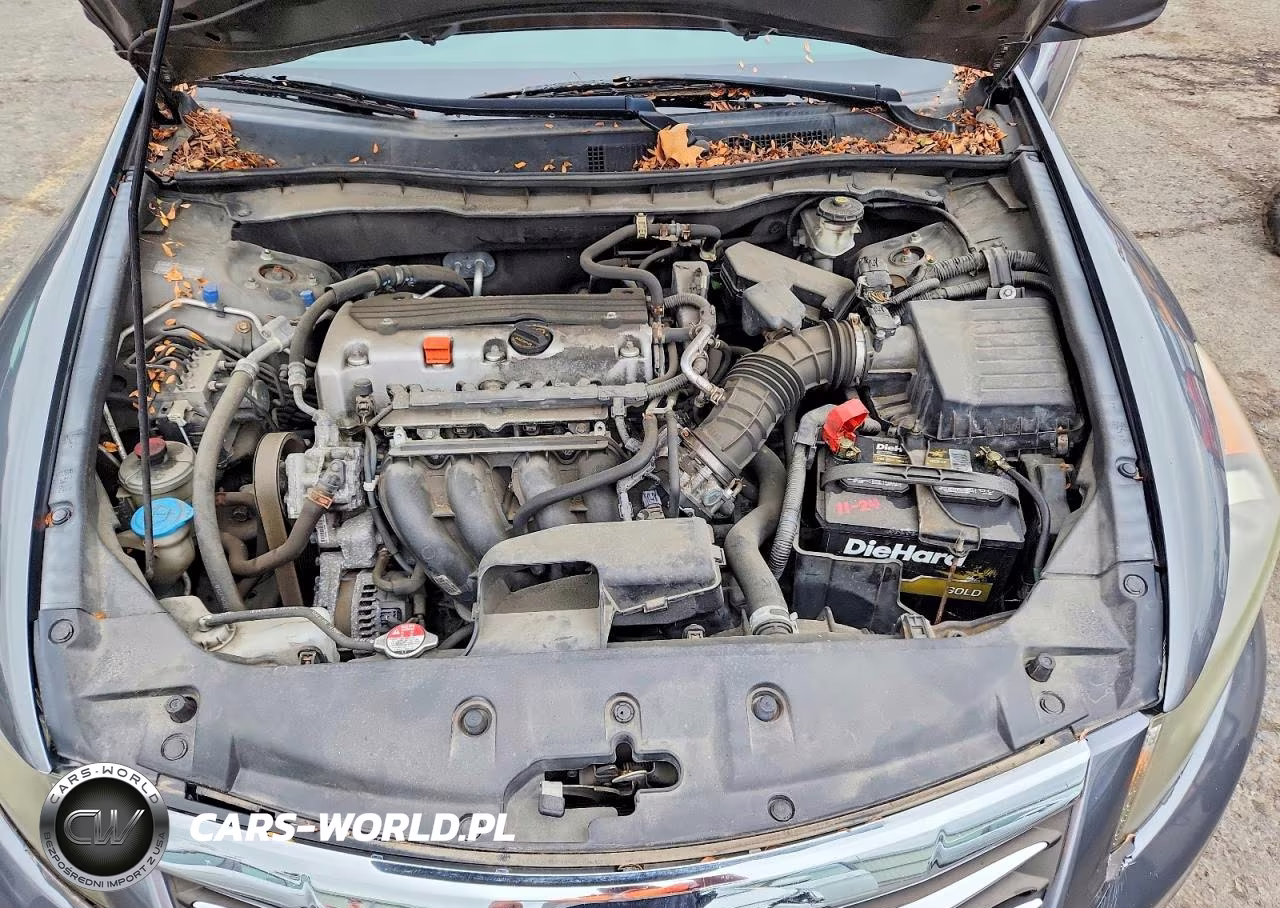 2012 Honda Accord Lxp VIN:1HGCP2F41CA186548 - 11