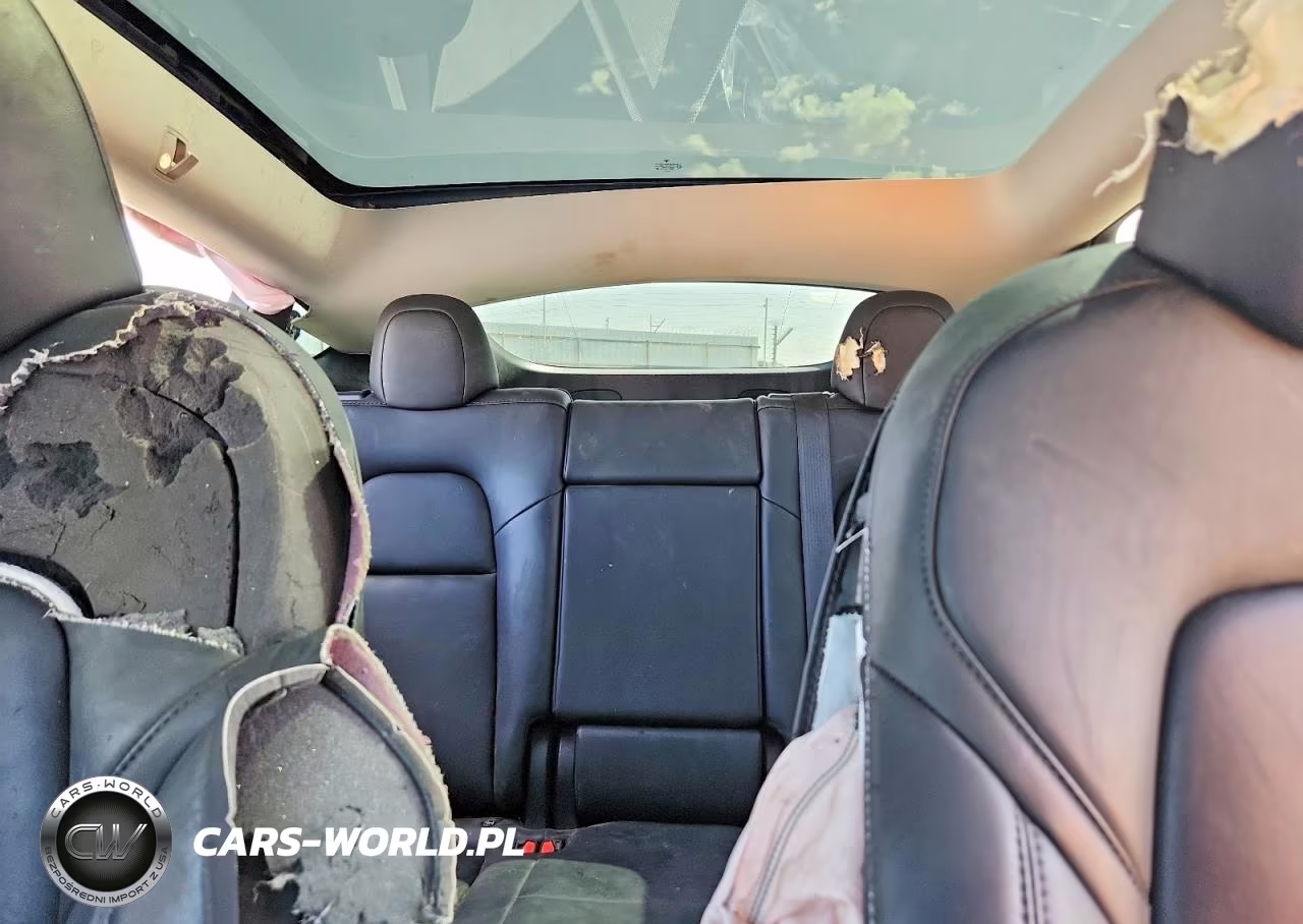 2023 Tesla Model Y VIN:7SAYGDEE0PF784334 - 10