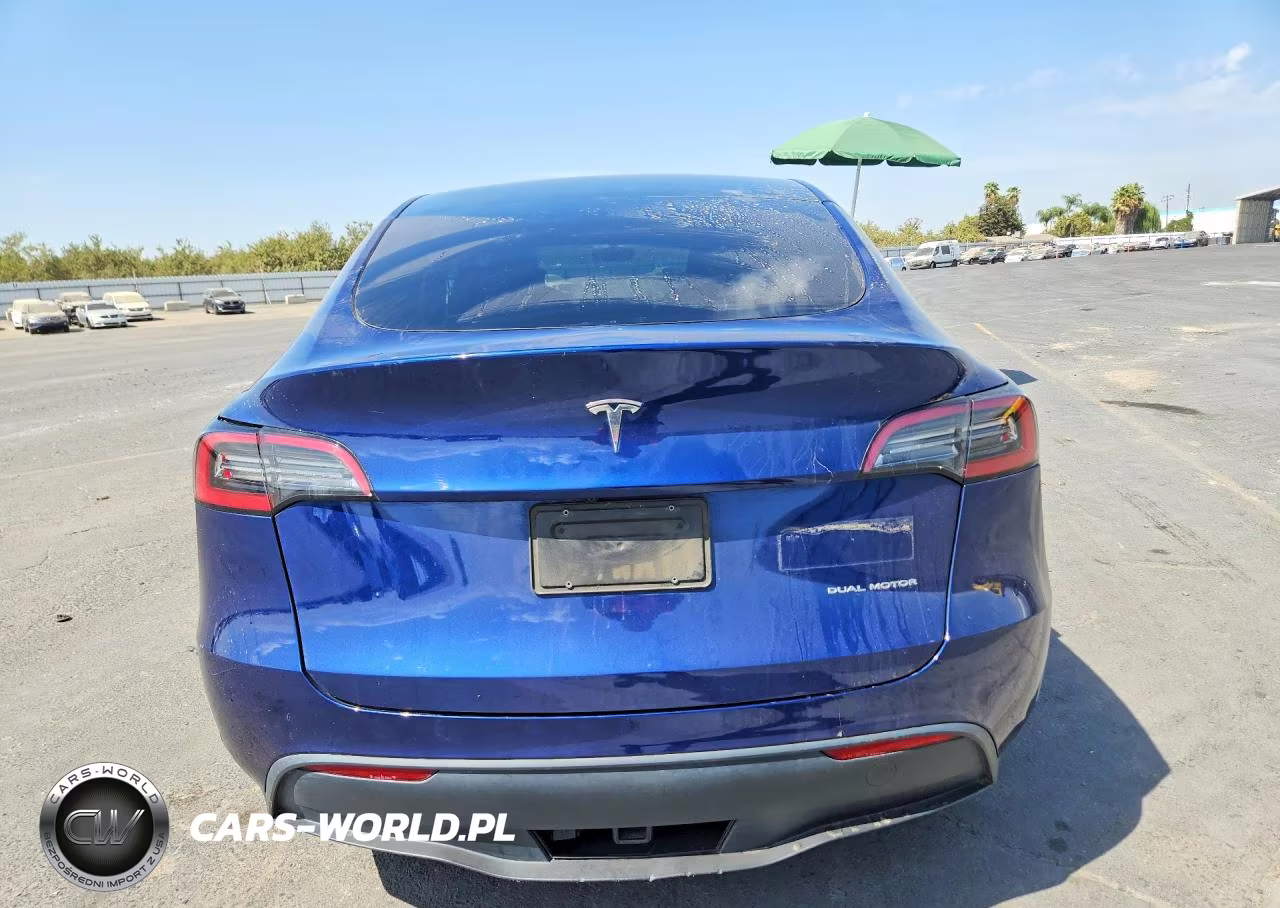 2023 Tesla Model Y VIN:7SAYGDEE0PF784334 - 6
