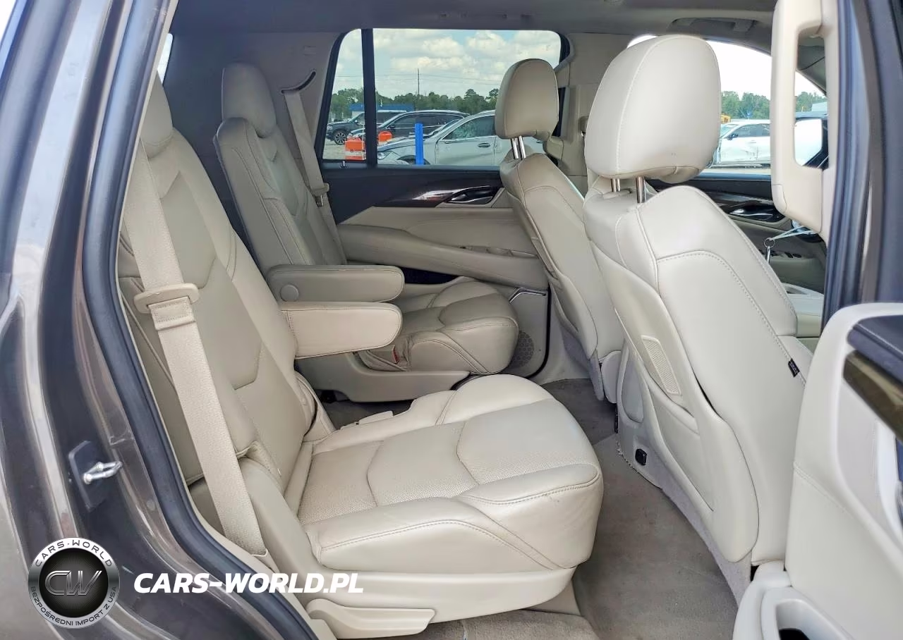 2020 Cadillac Escalade Luxury VIN:1GYS4BKJ2LR138129 - 10