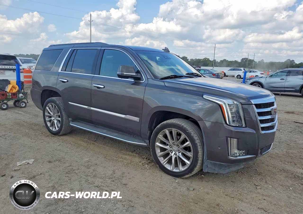 2020 Cadillac Escalade Luxury VIN:1GYS4BKJ2LR138129 - 4