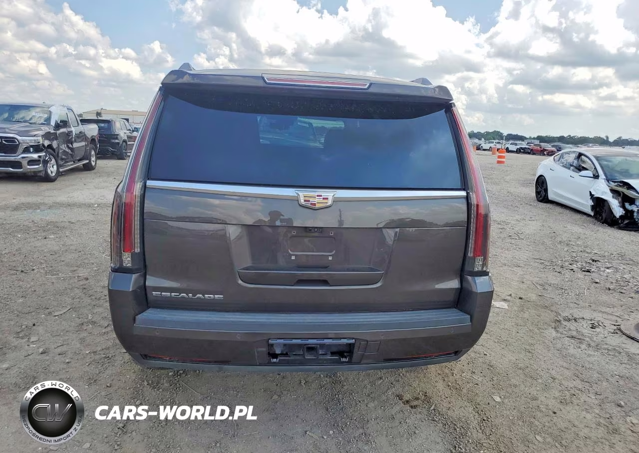 2020 Cadillac Escalade Luxury VIN:1GYS4BKJ2LR138129 - 6