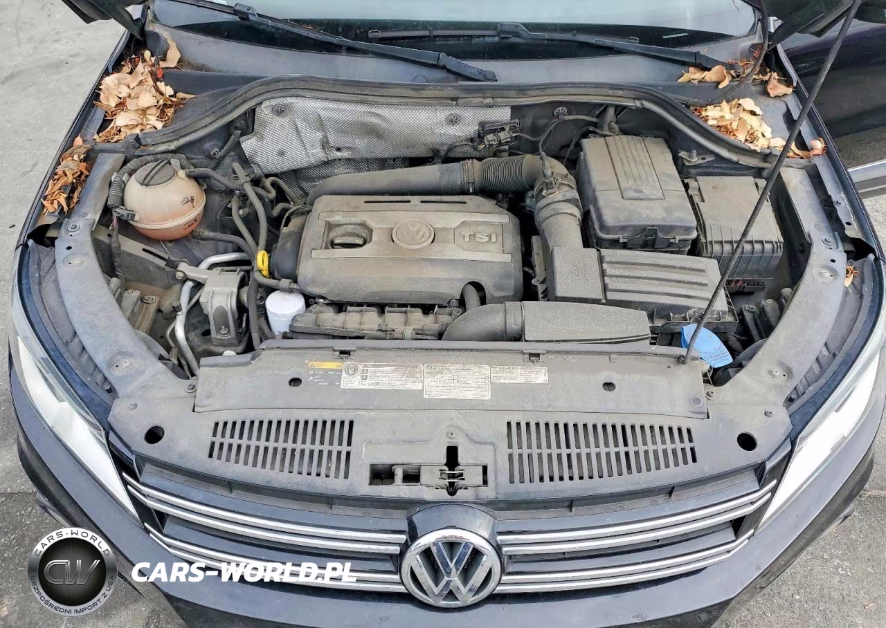 2014 Volkswagen Tiguan S VIN:WVGAV3AX0EW545148 - 11