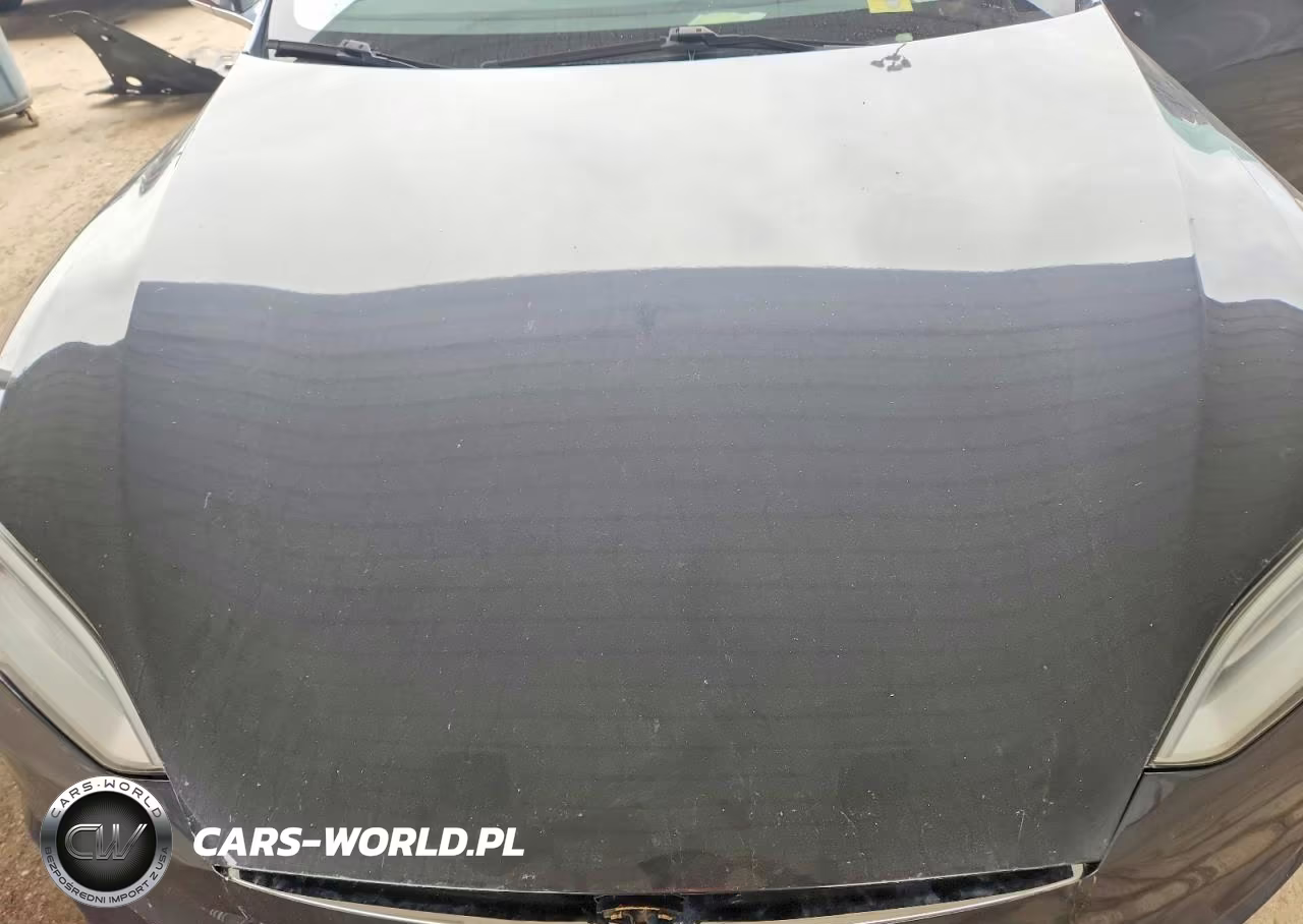 2017 Tesla Model S VIN:5YJSA1E22HF205189 - 11