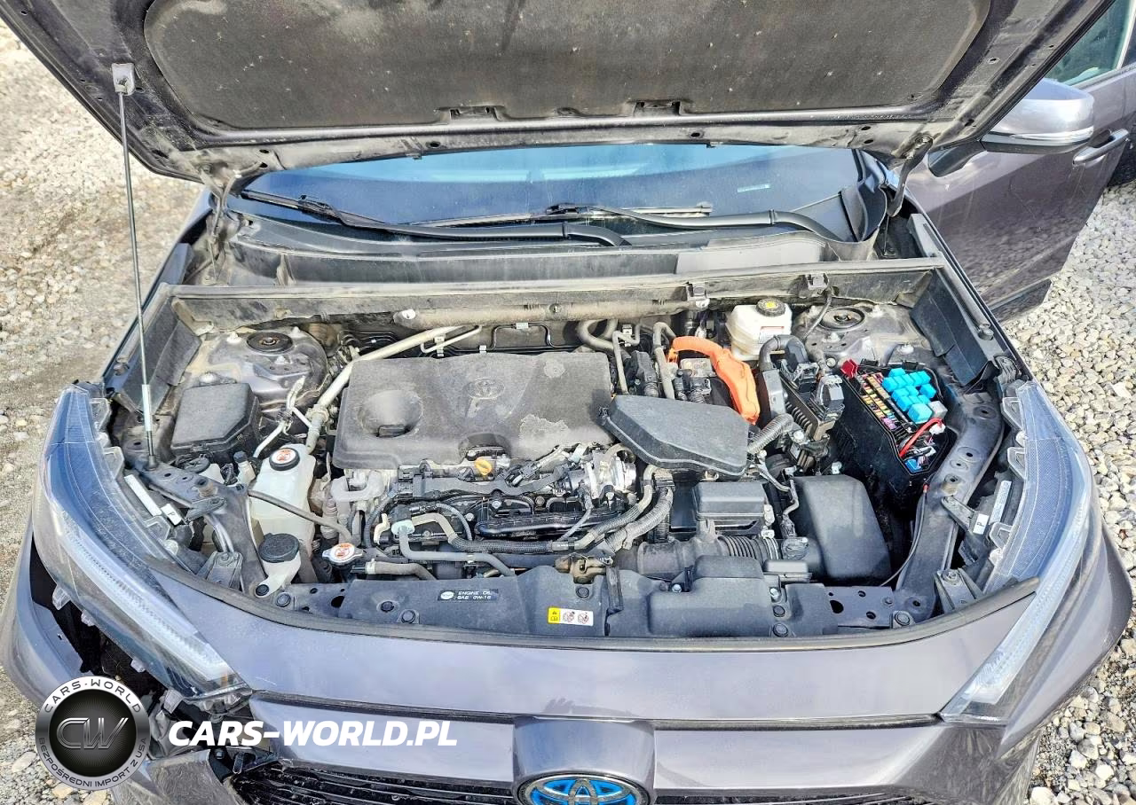 2024 Toyota Rav4 Se VIN:2T3T6RFVXRW064252 - 12