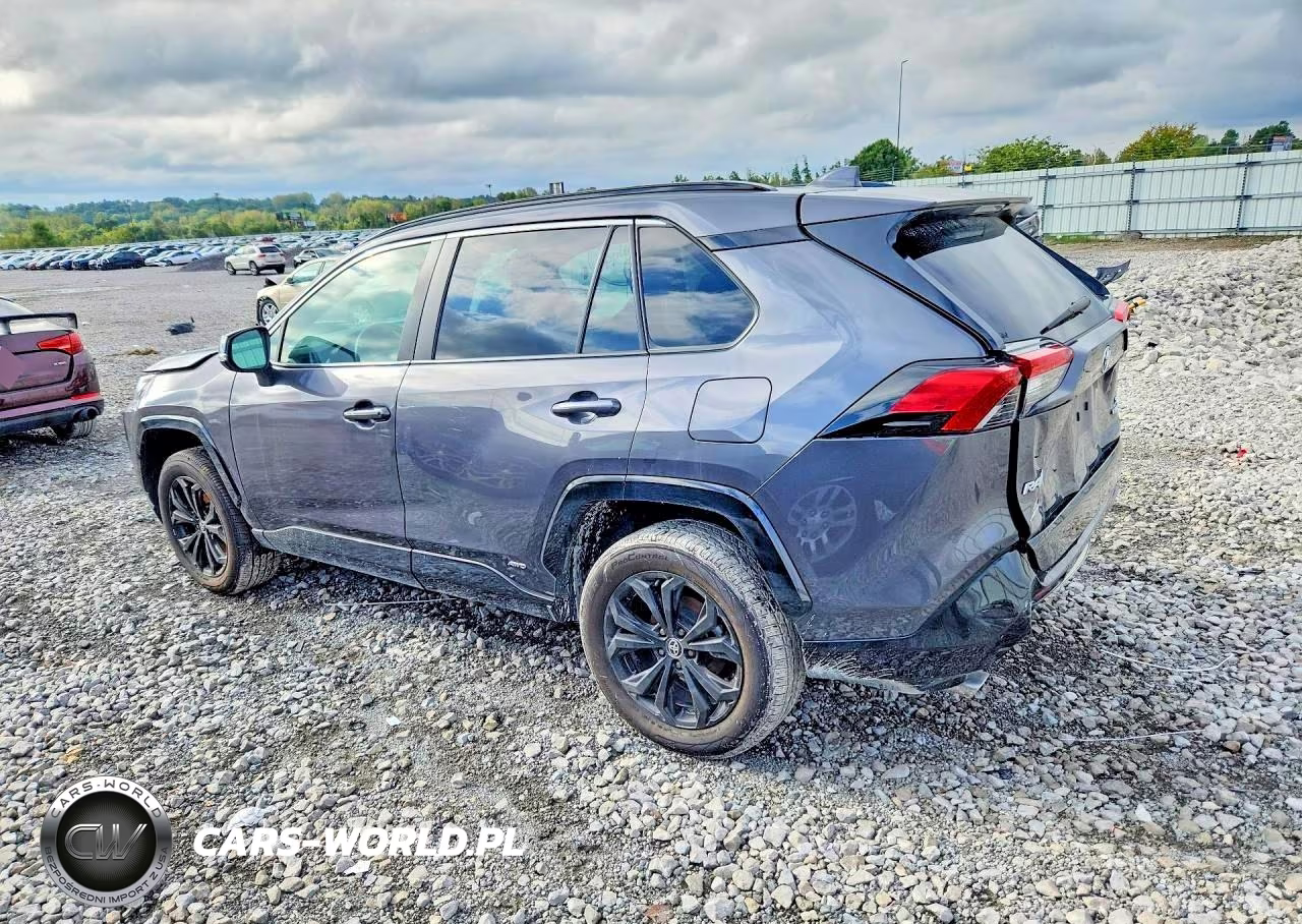 2024 Toyota Rav4 Se VIN:2T3T6RFVXRW064252 - 2