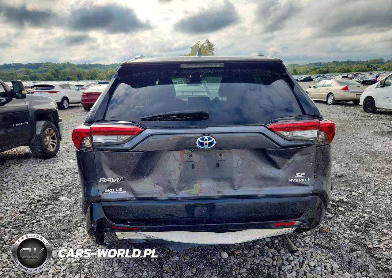 2024 Toyota Rav4 Se VIN:2T3T6RFVXRW064252 - 6