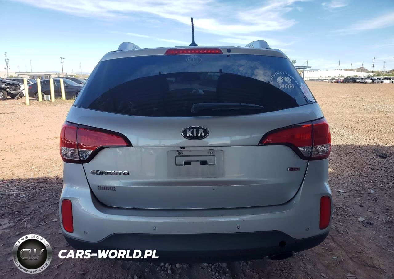 2014 Kia Sorento Lx VIN:5XYKT4A66EG482663 - 6